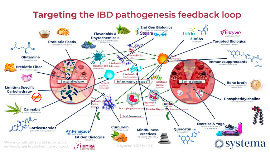 Tracking IBD pathogenesis image